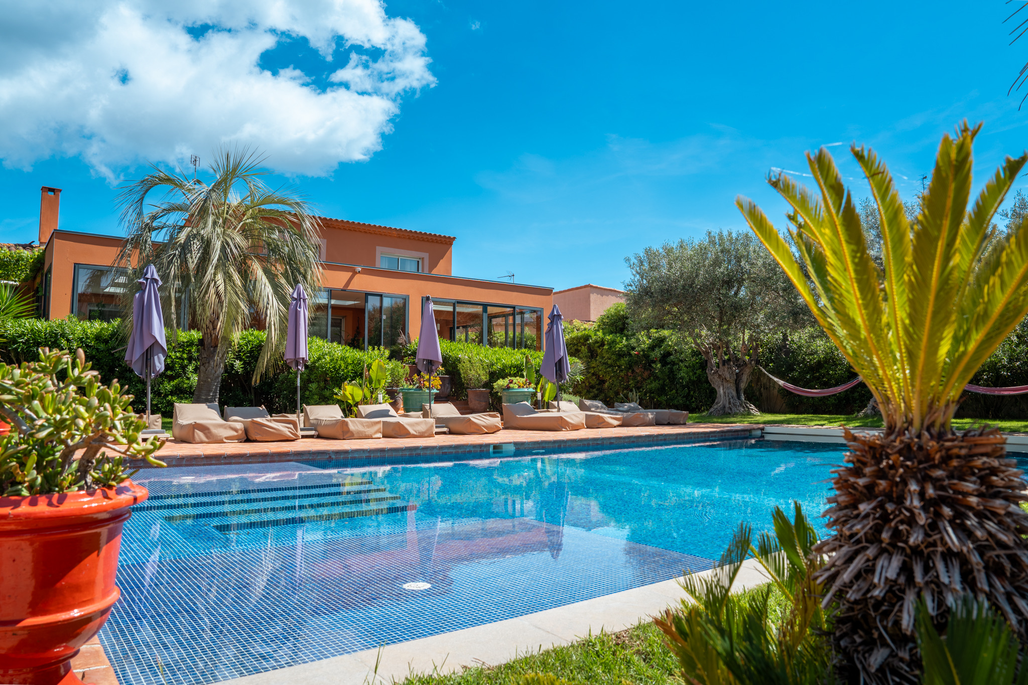 Vue 3/4 piscine villa orange palmiers